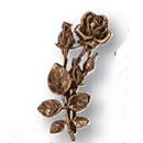 róża Lorenzi